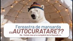 Fereastră mansardă autocurățare DEPOSKY POLAR TERMO | Titan Glass | Deposib