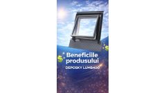 Beneficiile produsului DEPOSKY LUMB400
