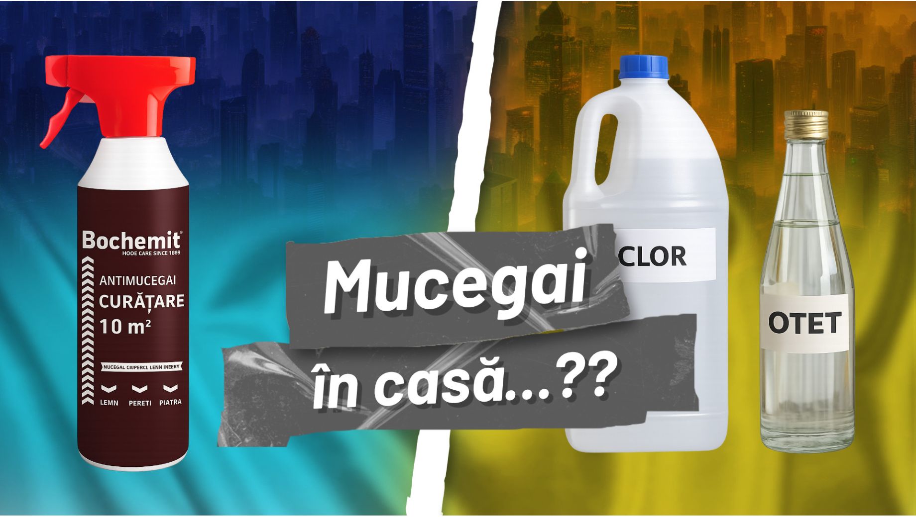 Mucegai în Casă — Cauze și Soluții | Deposib