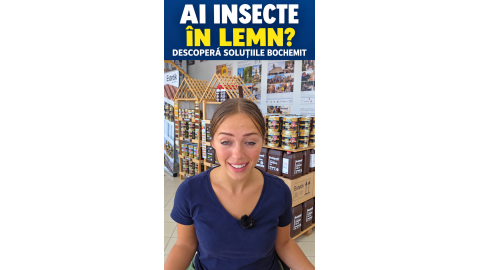 Insecte în lemn? Descoperă tratamentele Bochemit la Deposib