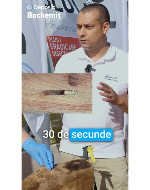 Solutie eradicare insecte lemn atacat BOCHEMIT PLUS I 5KG