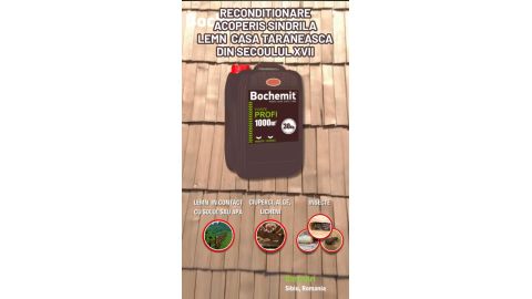 Solutie tratare preventiva lemn Bochemit QB Profi maro – protectie completa pentru interior si exterior
