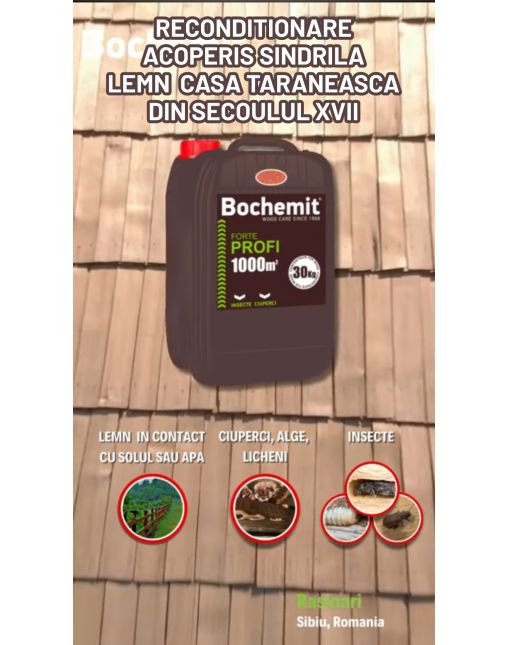 BOCHEMIT FORTE PROFI VERDE - protectie lemn in contact cu solul 600KG