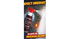 Spray Antimucegai cu efect instant 