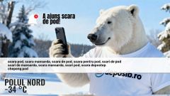 Scarile pod DEPOSTEP au ajuns pana la ursul DIPO la Polul Nord | ENTERTAINMENT 