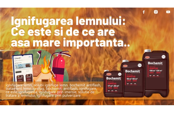 Ignifugarea lemnului: Ce este si de ce este atat de importanta ?