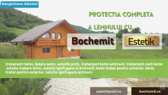 Tratamente Lemn Profesionale | Protectie Lemn Bochemit &amp; Estetik