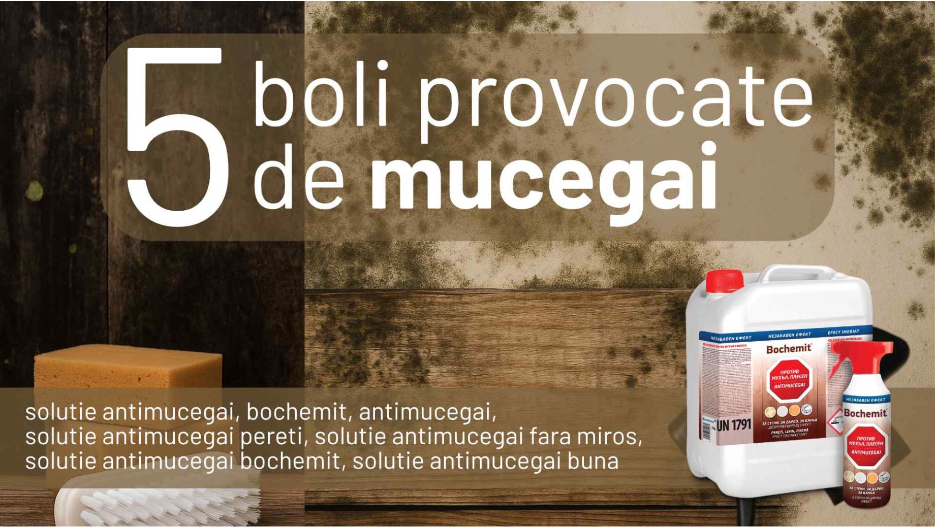 5 boli provocate de mucegai - Prevenire si tratare eficienta cu Bochemit