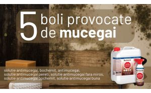 5 boli provocate de mucegai - Prevenire si tratare eficienta cu Bochemit