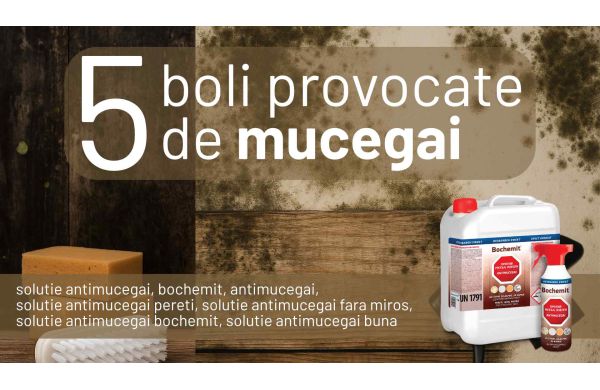 5 boli provocate de mucegai - Prevenire si tratare eficienta cu Bochemit