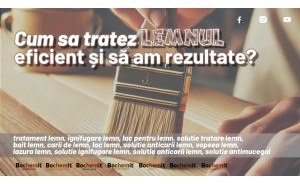 6 Solutii prin care poti trata lemnul eficient 