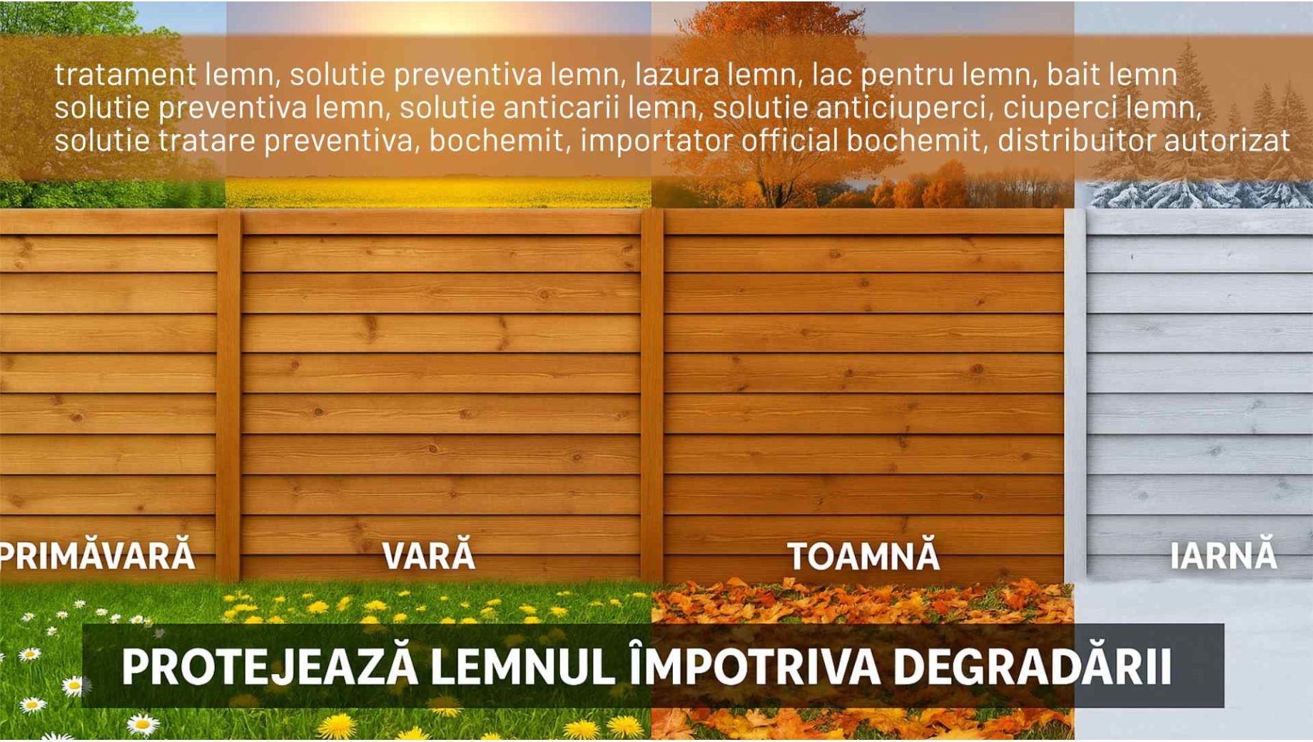 Cum îmi protejez lemnul indiferent de anotimp? Cu tratament lemn profesional: Grundul Opti F+ și Lazura Estetik