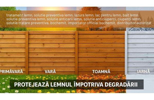 Cum îmi protejez lemnul indiferent de anotimp? Cu tratament lemn profesional: Grundul Opti F+ și Lazura Estetik
