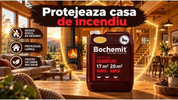 Ignifugare lemn: cum iti protejezi casa si reduci riscul de propagare a incendiului