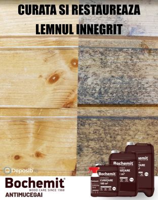 Solutie antimucegai si curatare lemn innegrit BOCHEMIT ANTIMUCEGAI 5KG