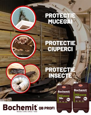 Solutie tratare preventiva lemn BOCHEMIT QB PROFI MARO 25KG