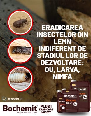 Solutie eradicare insecte lemn atacat BOCHEMIT PLUS I 5KG