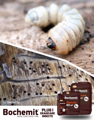 Solutie eradicare insecte lemn atacat BOCHEMIT PLUS I 5KG