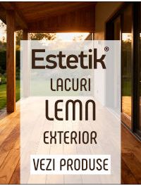 Lacuri lemn exterior