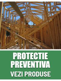 Protectie Preventiva Lemn Interior