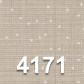 4171