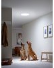 Tunel solar de lumina rigid pentru acoperis tip terasa Velux TCR