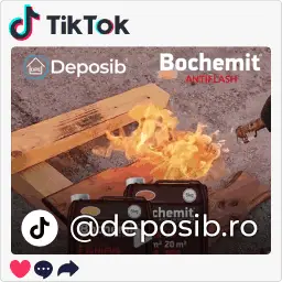Descopera Deposib pe TikTok