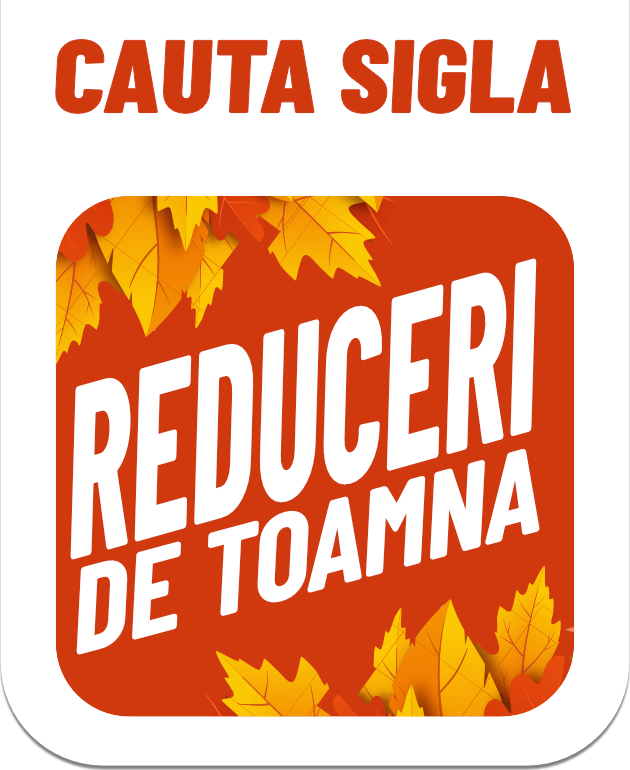 Campanie de toamna scari pod, ferestre mansarda, tratamente lemn