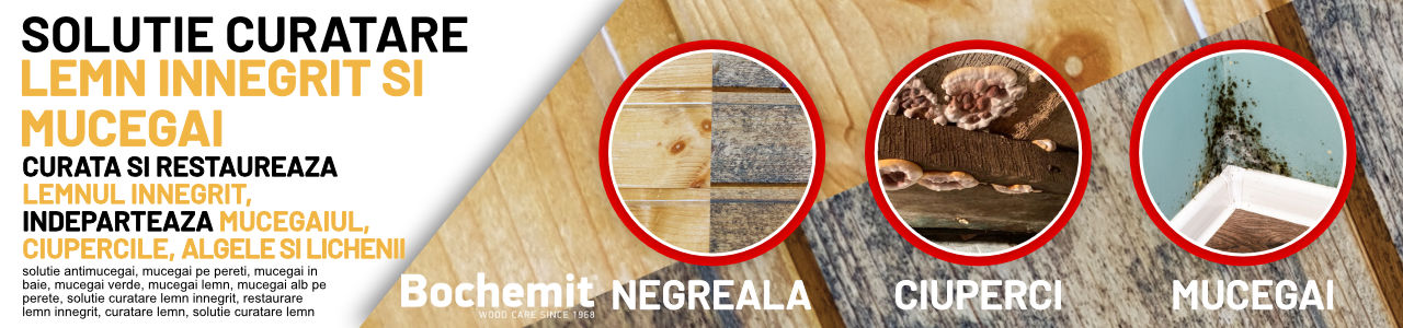 Solutie antimucegai si curatare lemn innegrit Bochemit Antimucegai 0.500ml solutie antimucegai
