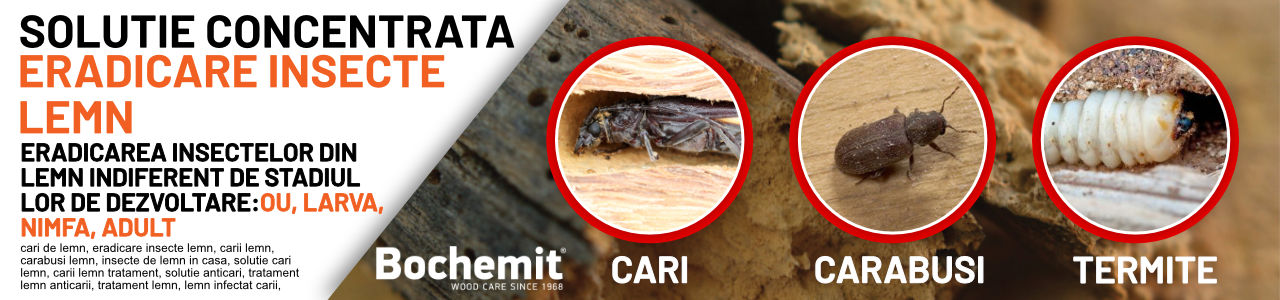Solutie eradicare insecte lemn atacat Bochemit Plus I 2x25kg solutie eradicare insecte
