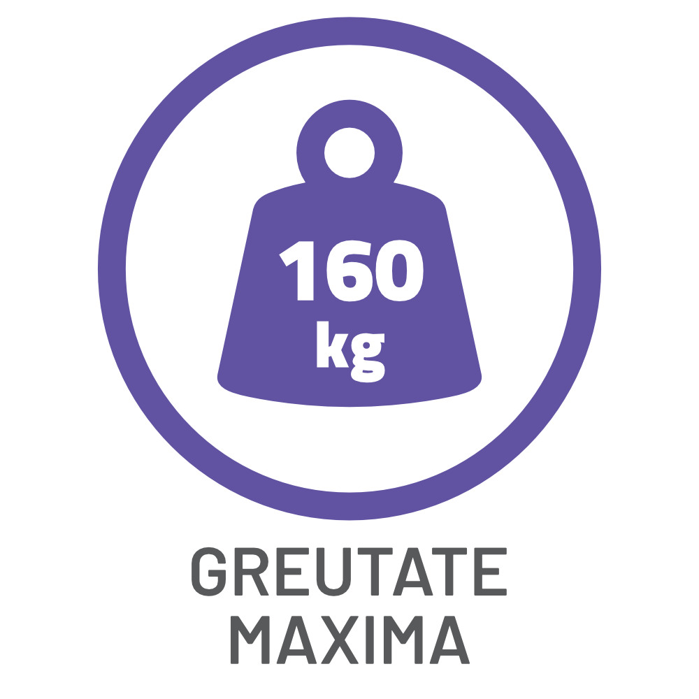 DEPOSTEP STANDARD DSK scara pod pliabila din lemn 18 icoana greutate