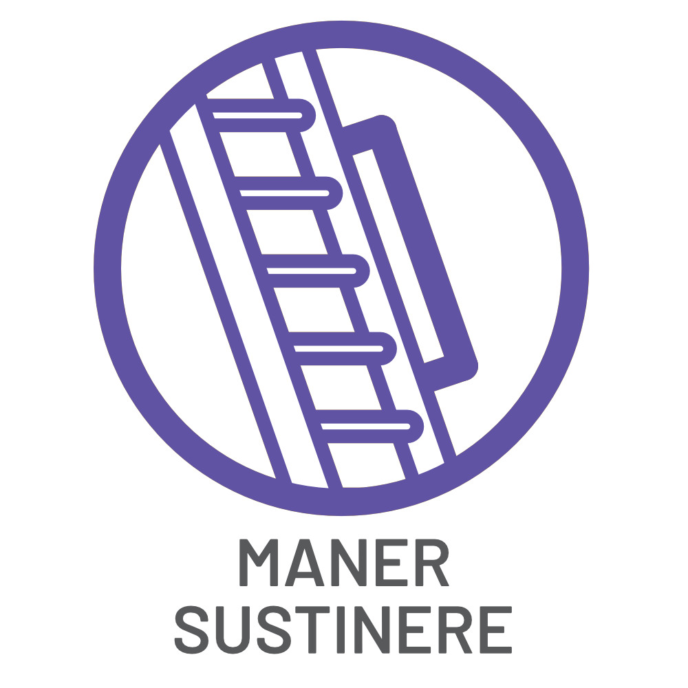DEPOSTEP STANDARD DSK scara pod pliabila din lemn 16 icoana maner sustinere m