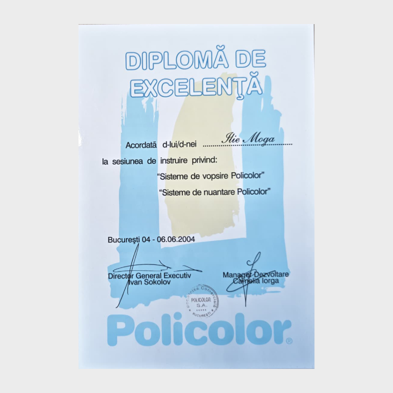 Diploma Vopseluri Policolor